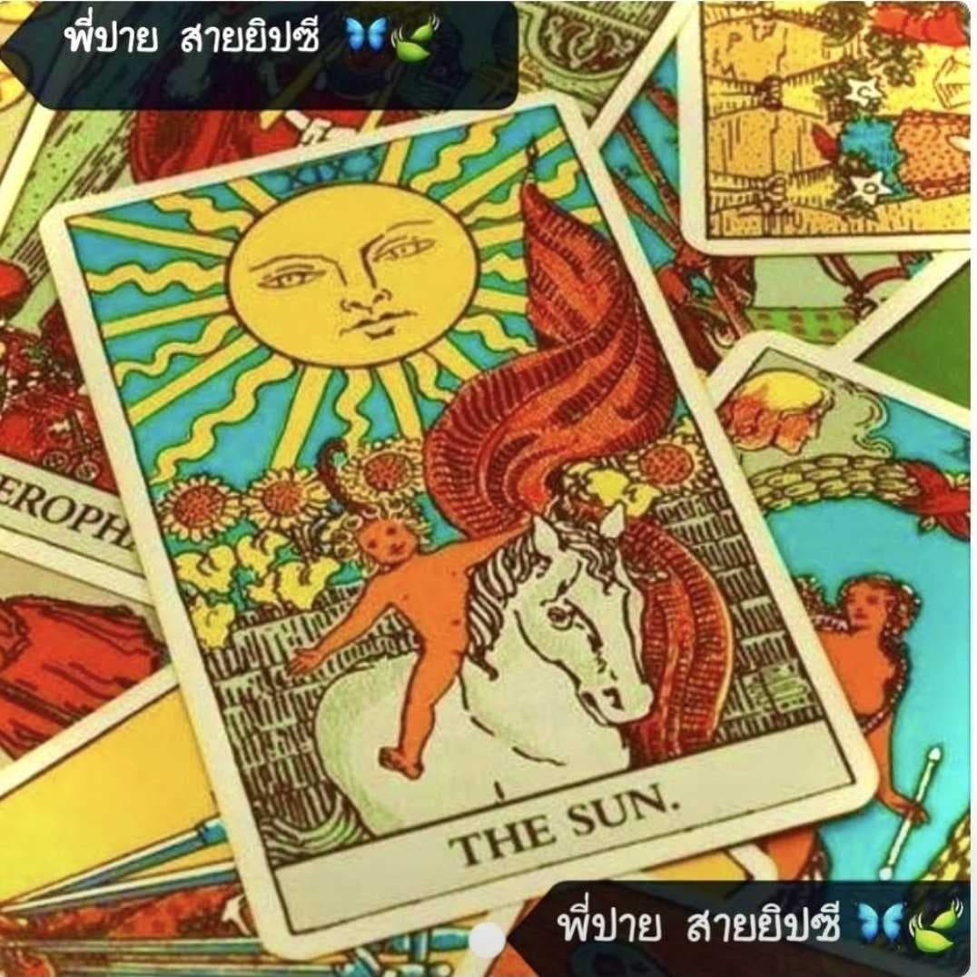 รูปโปรไฟล์ของ พี่ปาย สายยิปซี🦋🍃