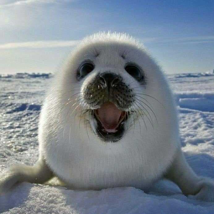 S L