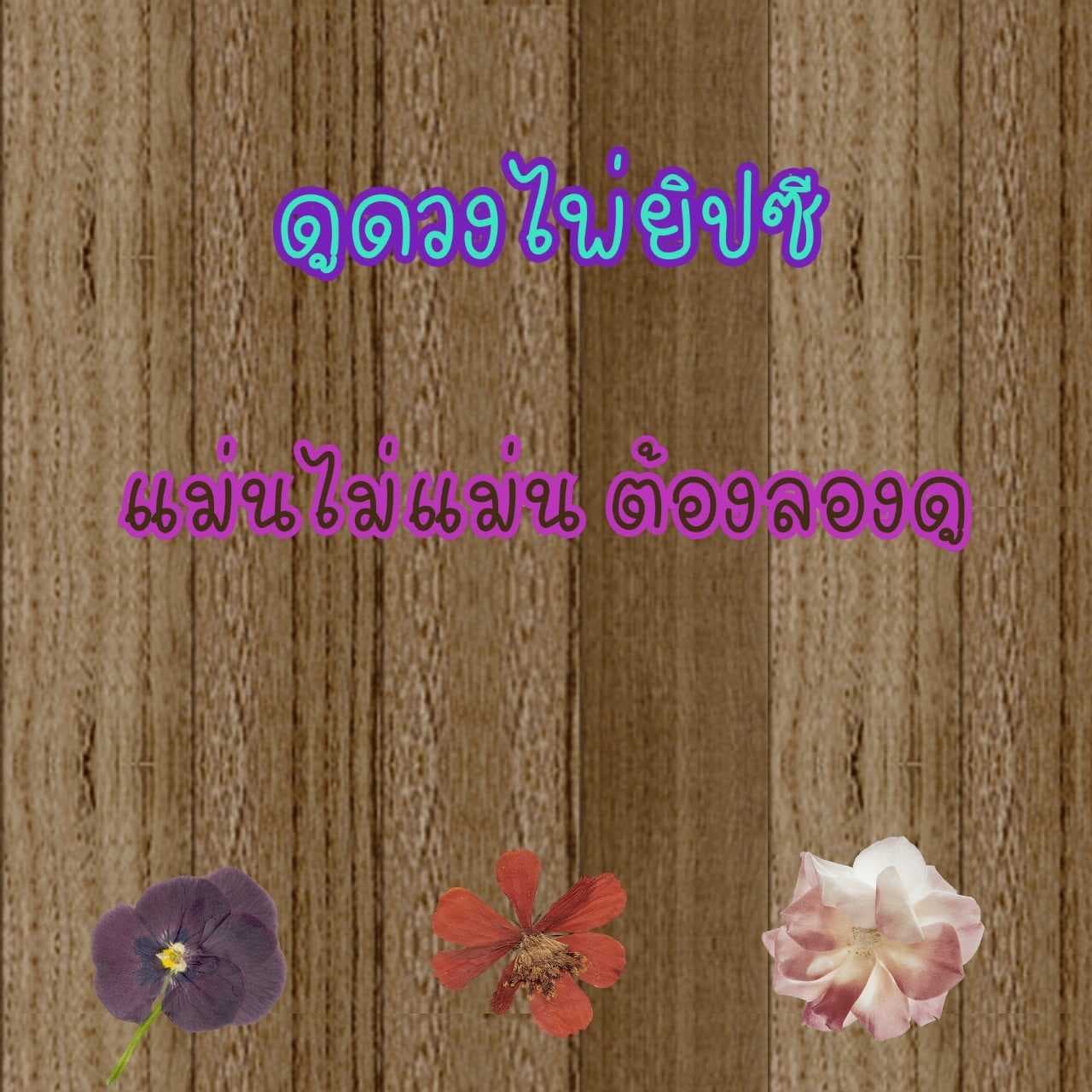ยิปซี ทำนายดวง