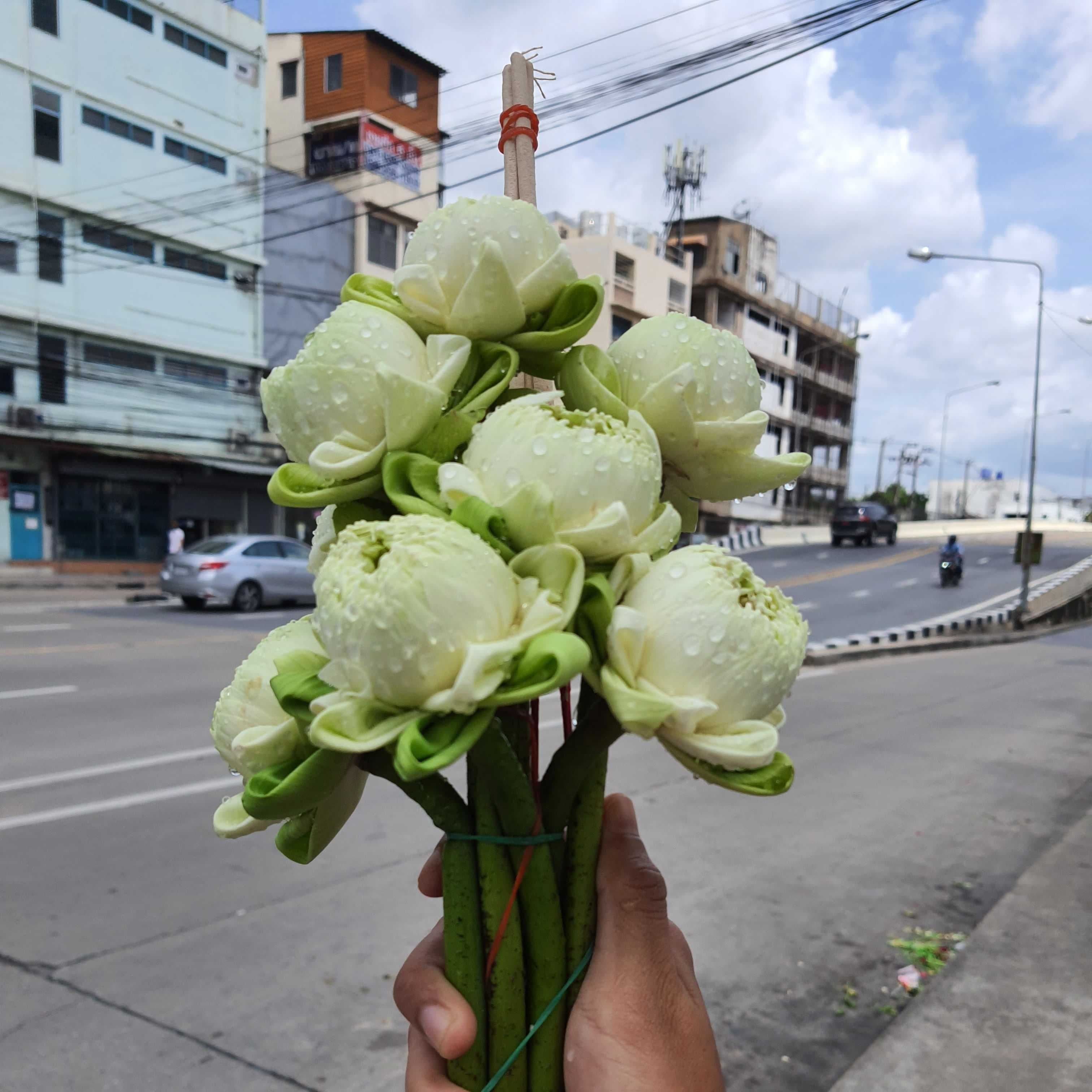 🔮🔮🔮เปิดไพ่ 1 คำถาม เค้าจะกลับมาไหม 🧧🧧🧧🧧