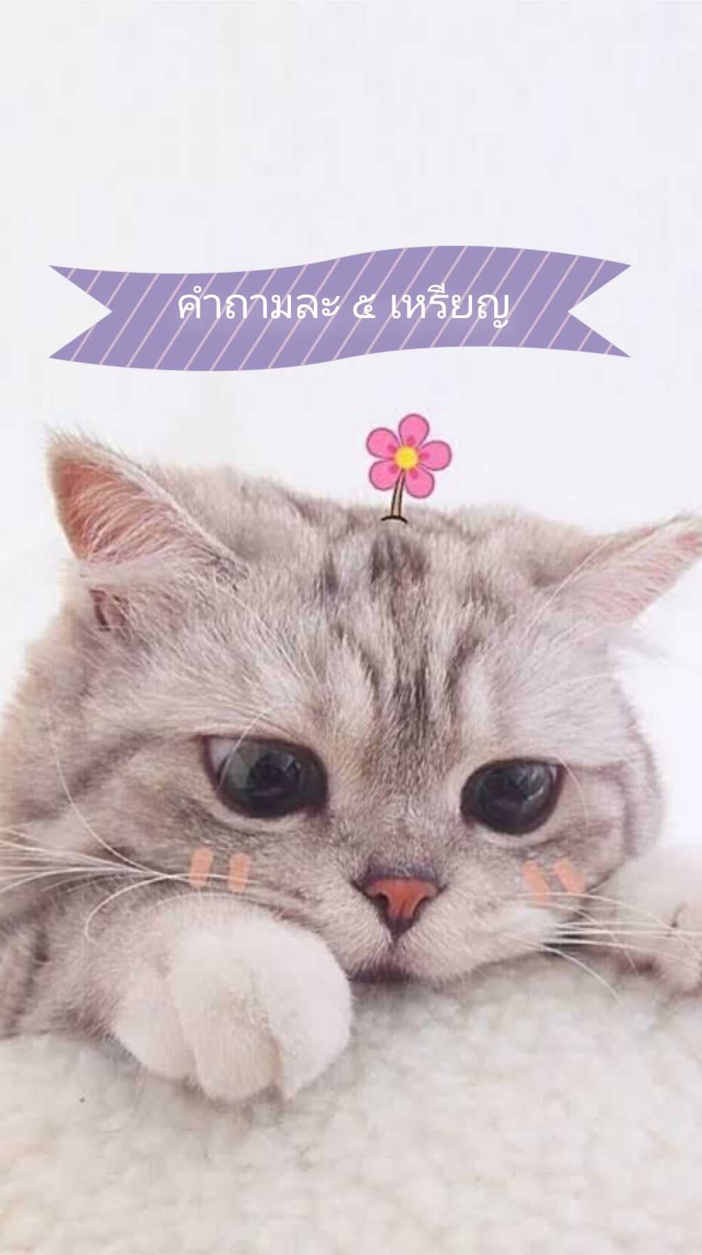 หลุดอีกแล้วค่ะ แอพเน่าาา