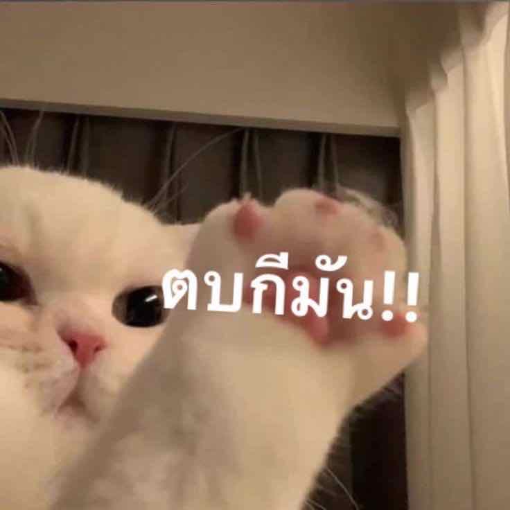 🧸
