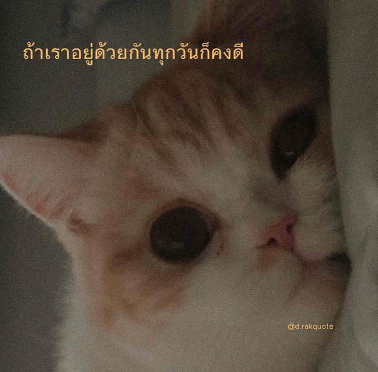 บริการ ดูดวง ตอบกลับเป็นคลิปนะคะ 15 คำถาม 