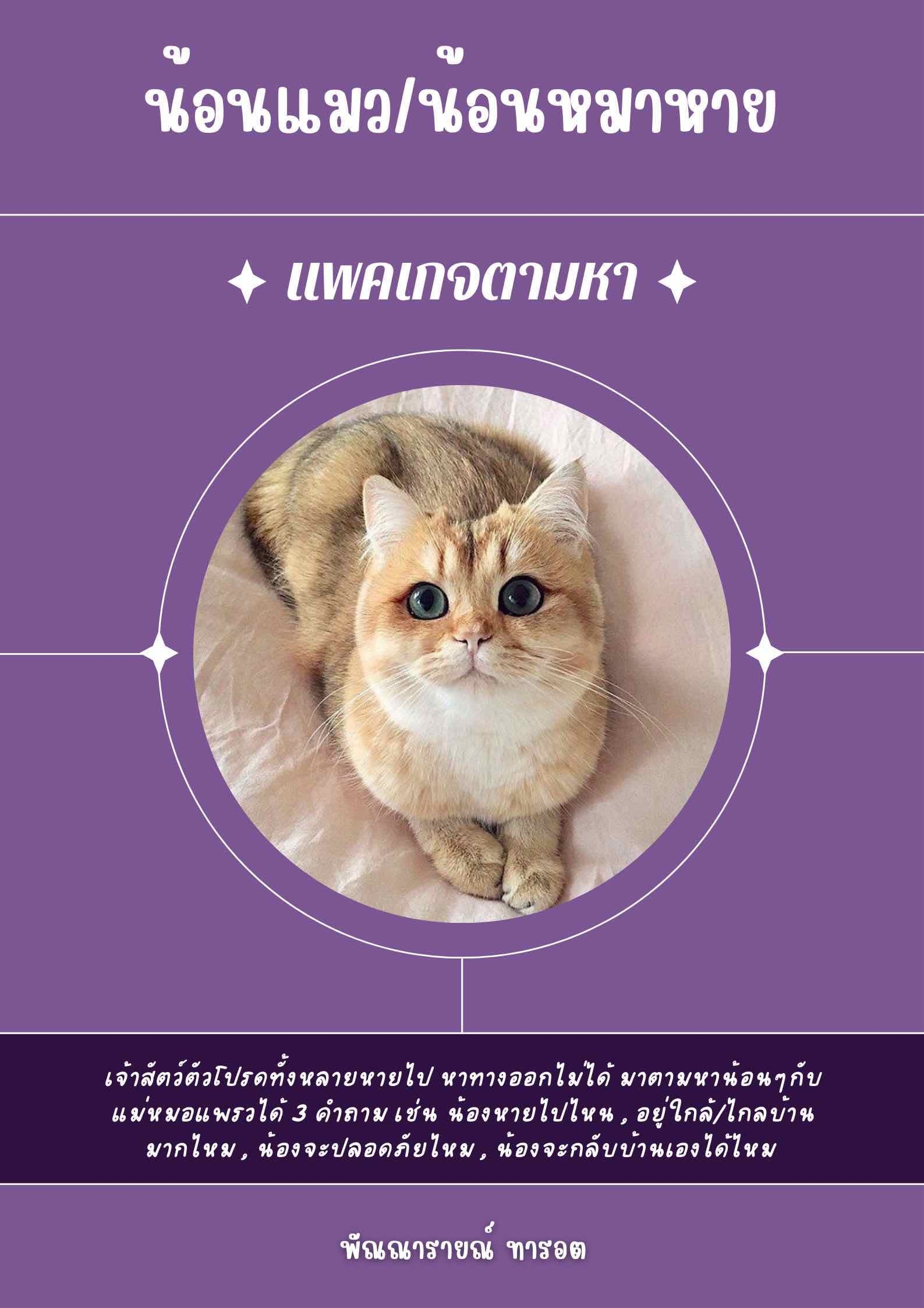 ตามหาเจ้าน้อนๆที่หายไป น้อนหายไปไหนนะ