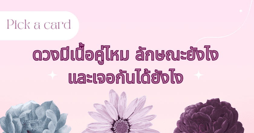 Pick a card ดวงมีเนื้อคู่ไหม ลักษณะยังไงและเจอกันได้ยังไง