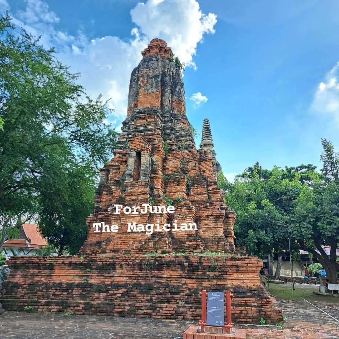 🤩8 คำถาม ถามได้ทุกเรื่องเลยจ้า🥰