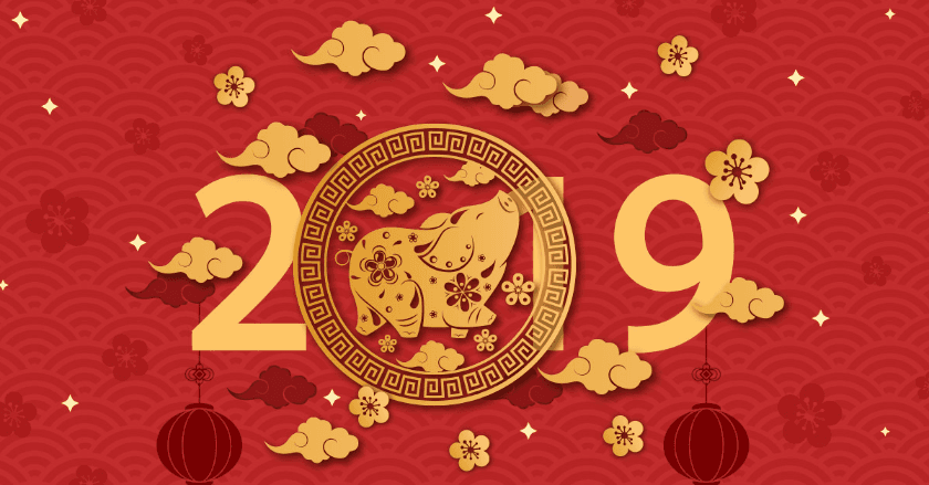 ปี 2019/2562 ปีหมูดิน เป็นอย่างไร