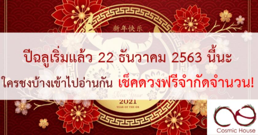 22 ธ.ค. 63 วันแรกของปีฉลู ใครชงบ้าง? ฟรีโปรโมเช็คดวงเบื้องต้น