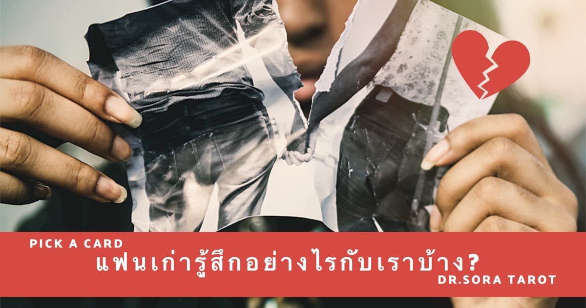 Pick a card แฟนเก่ารู้สึกอย่างไรกับเราบ้าง?