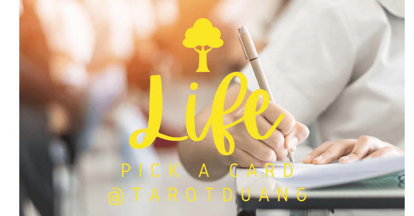 Pick A Card: จะสอบผ่านตามที่หวังไหม