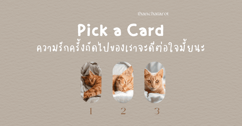 Pick a Card ความรักครั้งถัดไปของเราจะดีต่อใจมั้ยนะ